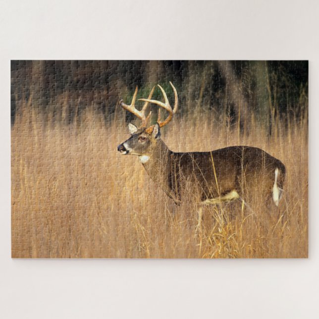 White-tailed Deer | Smoky Mountains Tennessee Jigsaw Puzzle (Horizontal)