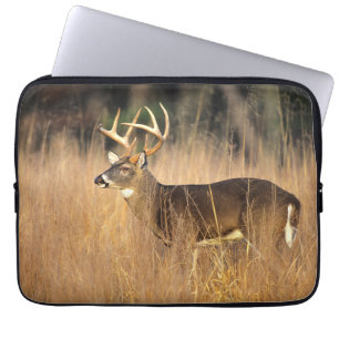 White-tailed Deer   Smoky Mountains Tennessee Laptop Sleeve