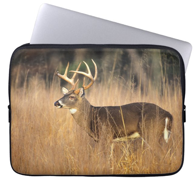 White-tailed Deer | Smoky Mountains Tennessee Laptop Sleeve (Front)