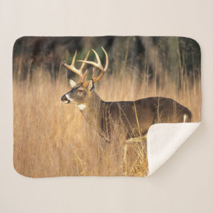 White-tailed Deer Smoky Mountains Tennessee Sherpa Blanket