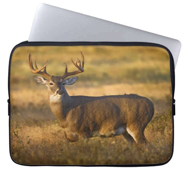 White-tailed Deer | South Texas Laptop Sleeve (Front)