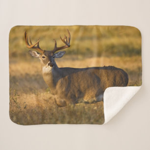 White-tailed Deer South Texas Sherpa Blanket