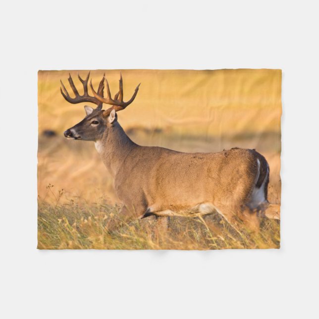 White-tailed Deer | South TX Fleece Blanket (Front (Horizontal))
