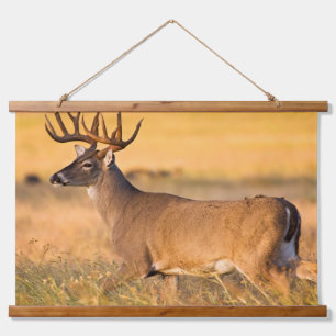 White-tailed Deer South TX Hanging Tapestry