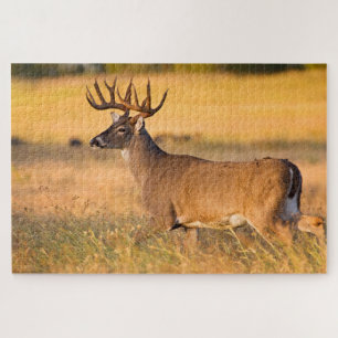 White-tailed Deer   South TX Jigsaw Puzzle