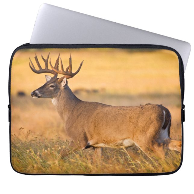 White-tailed Deer | South TX Laptop Sleeve (Front)