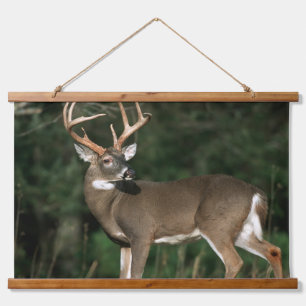 White-tailed Deer   Tennessee Hanging Tapestry