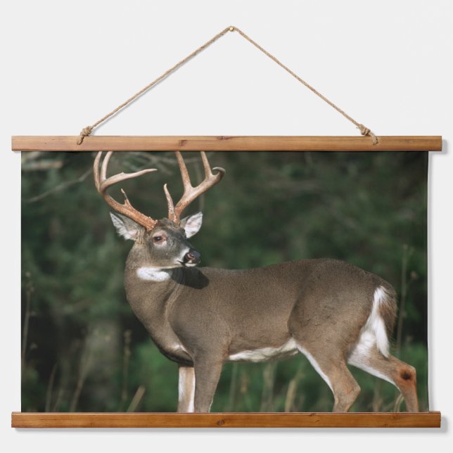 White-tailed Deer | Tennessee Hanging Tapestry (Front)