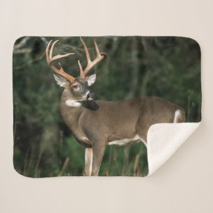 White-tailed Deer Tennessee Sherpa Blanket