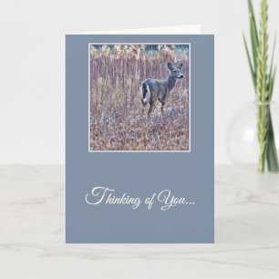 White-Tailed Deer - Thinking of You Card