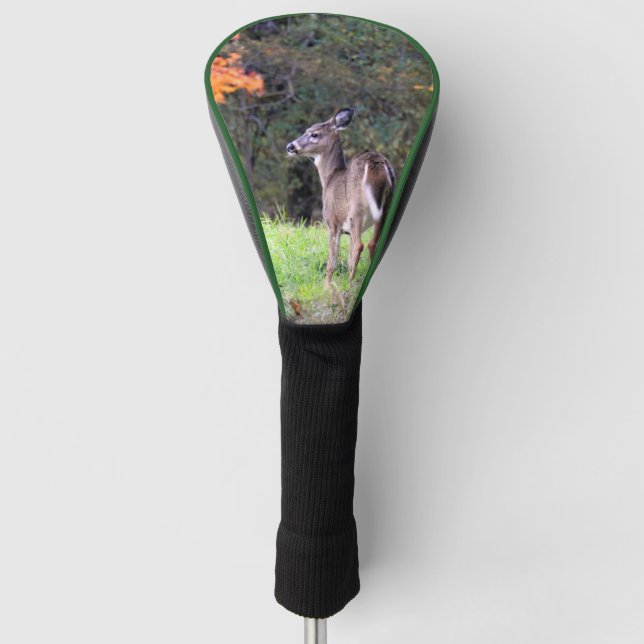 White Tailed Deer Up Close  Golf Head Cover (Front)