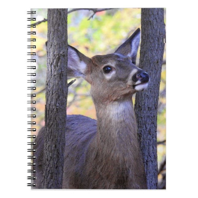 White Tailed Deer Up Close Notebook (Front)