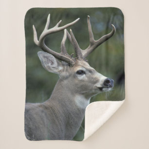 White-tailed Deer Washington State Sherpa Blanket