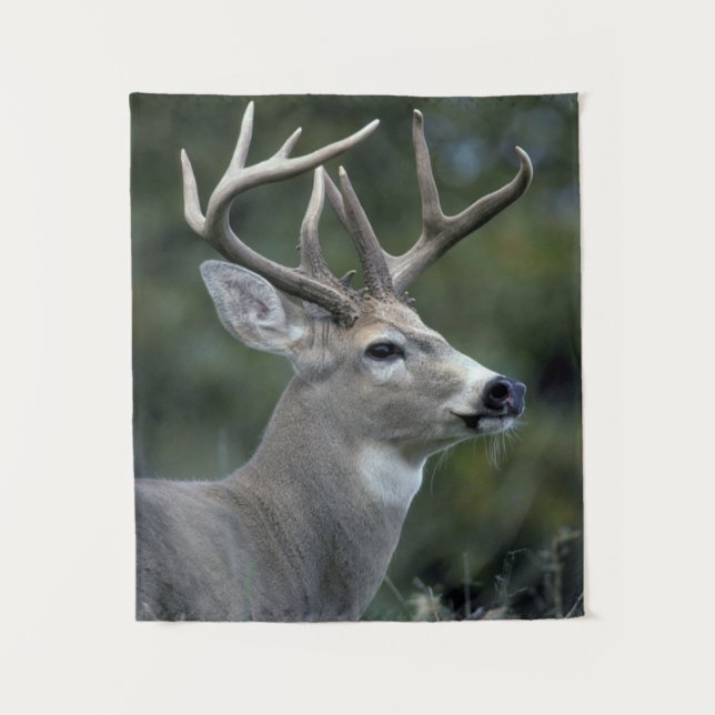 White-tailed Deer | Washington State Tapestry (Front)