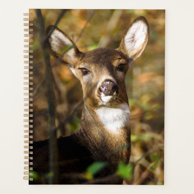 White-Tailed Deer Weekly/Monthly Planner (Front)