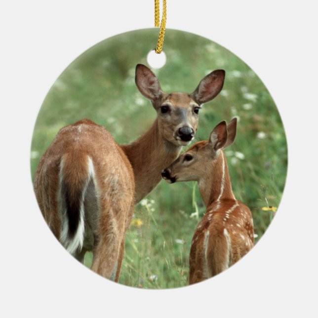 White-tailed Deer with Her Fawn Ceramic Tree Decoration (Front)