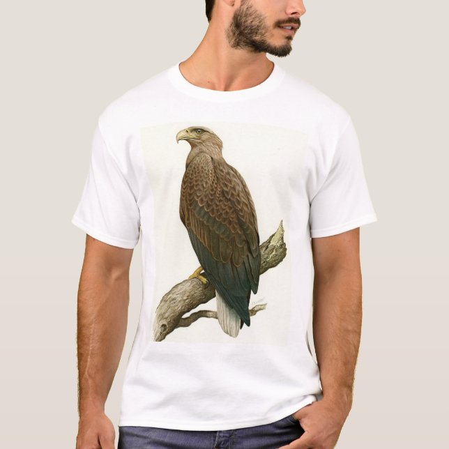 White-tailed Eagle, adult T-Shirt (Front)