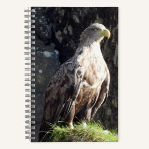 White Tailed Eagle Coastal Rock Wildlife Notebook
