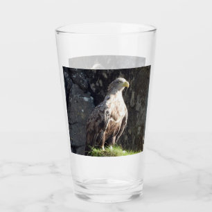 White Tailed Eagle on Rock Glass