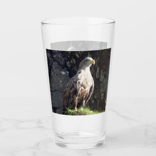 White Tailed Eagle on Rock Glass (Front)
