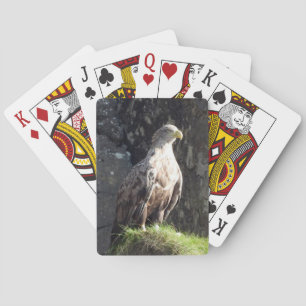 White-tailed Eagle Perched OnRocky Cliff Wildlife Playing Cards