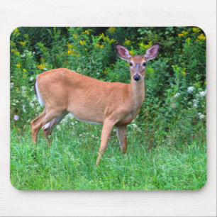White Tailed Female Deer Mouse Mat