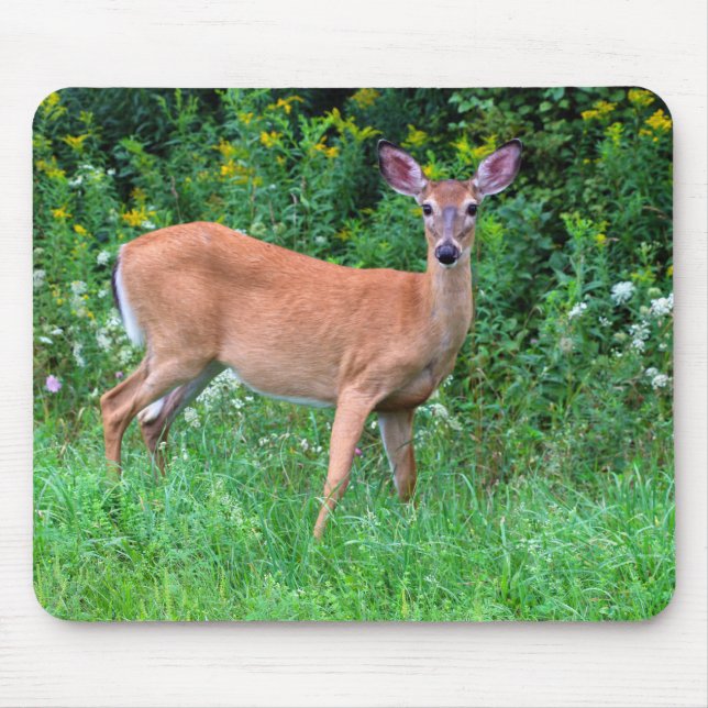 White Tailed Female Deer Mouse Mat (Front)