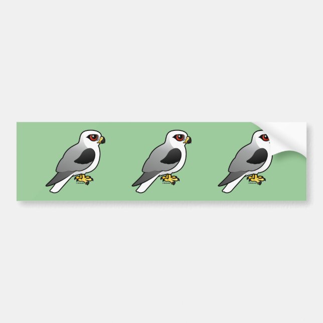 White-tailed Kite Bumper Sticker (Front)