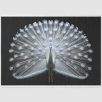White Tailed Peacock Decoupage