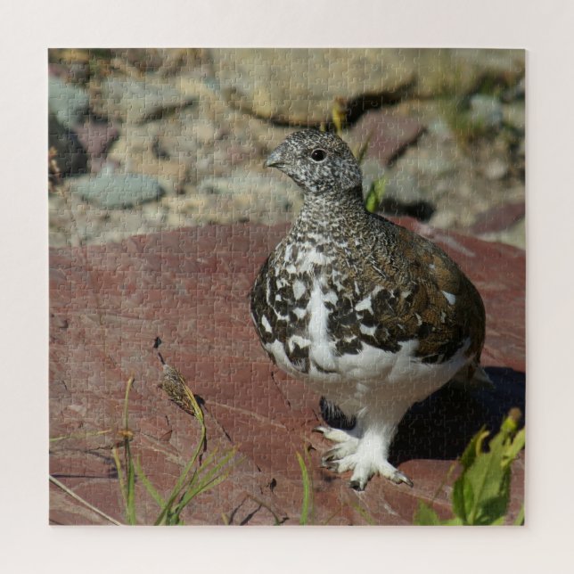 White-tailed Ptarmigan - 676 piece Jigsaw Puzzle (Vertical)