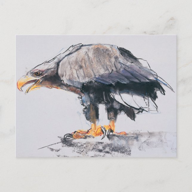 White tailed Sea Eagle 2001 Postcard (Front)