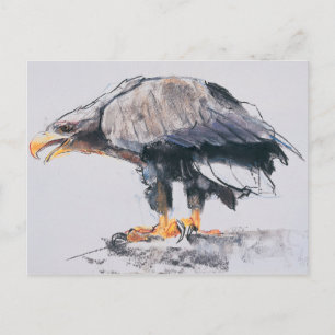 White tailed Sea Eagle 2001 Postcard
