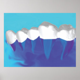 White Teeth Design Dentist Orthodontist Poster