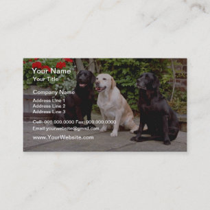 White Three Labrador retrievers sitting flowers Business Card