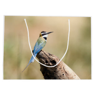 White throated Bee-eater Large Gift Bag