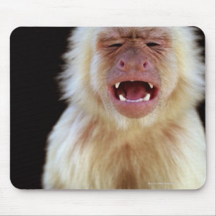 White-throated capuchin (Cebus capucinus) Mouse Mat