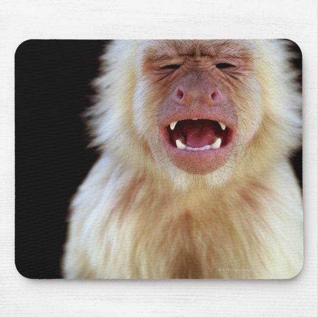 White-throated capuchin (Cebus capucinus) Mouse Mat (Front)