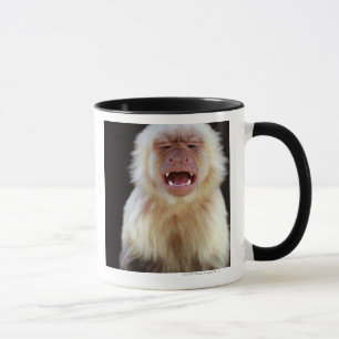 White-throated capuchin (Cebus capucinus) Mug