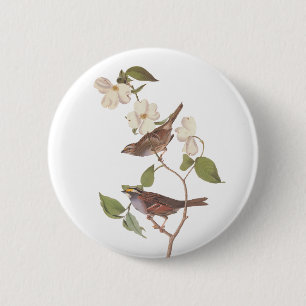 White-Throated Sparrow Audubon Bird in Dogwood 6 Cm Round Badge