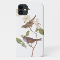 White-Throated Sparrow Audubon Birds in Dogwood
