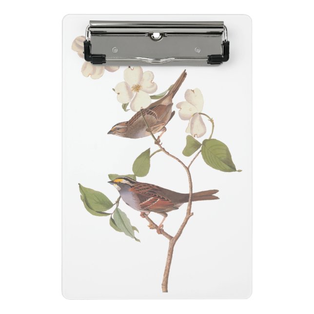 White Throated Sparrow Audubon Birds with Flowers Mini Clipboard (Front)