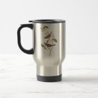 White Throated Sparrow Audubon Birds with Flowers