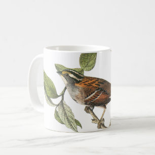 White-throated Sparrow by Audubon Coffee Mug