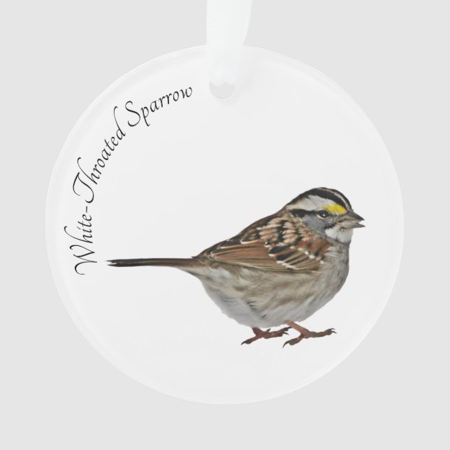 White-Throated Sparrow Ornament (Front)