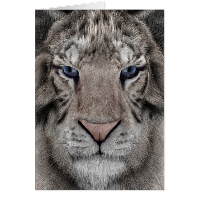 White Tiger (Front)