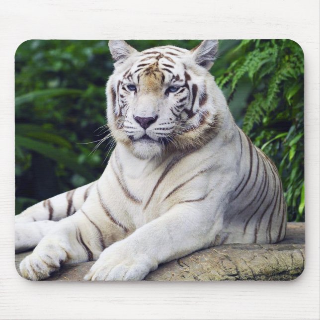 White Tiger 1 Mousepad (Front)