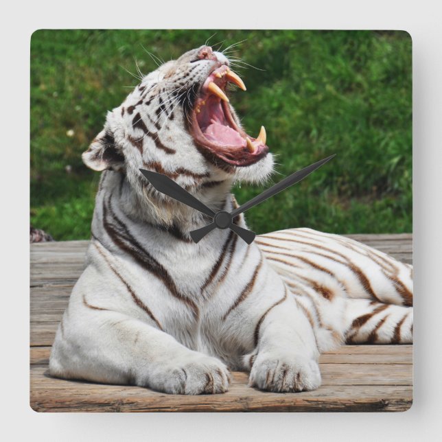 White Tiger, Bengal Tiger Wall Clock (Front)