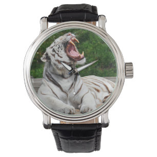 White Tiger, Bengal Tiger Watch