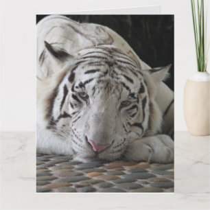 WHITE TIGER BIRTHDAY GREETING CARD