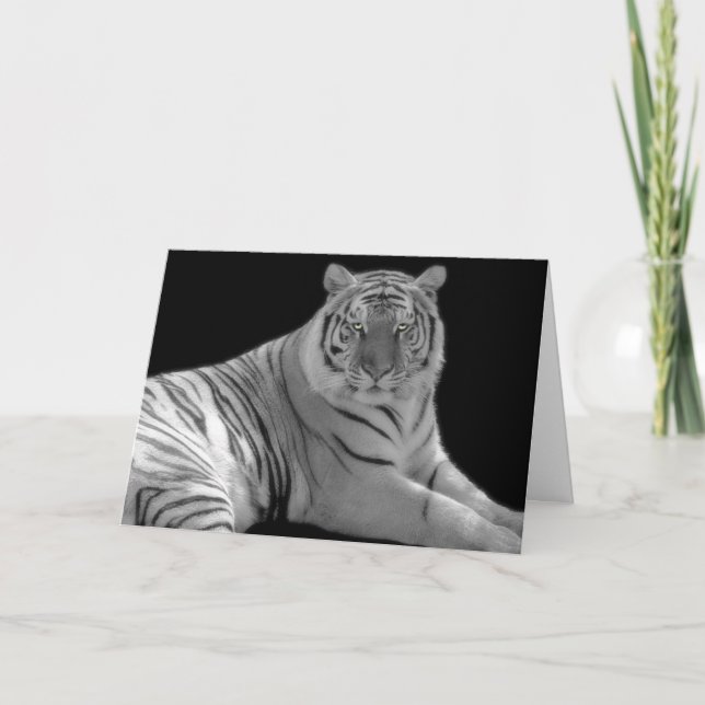 White tiger Birthday Greeting Card (Front)